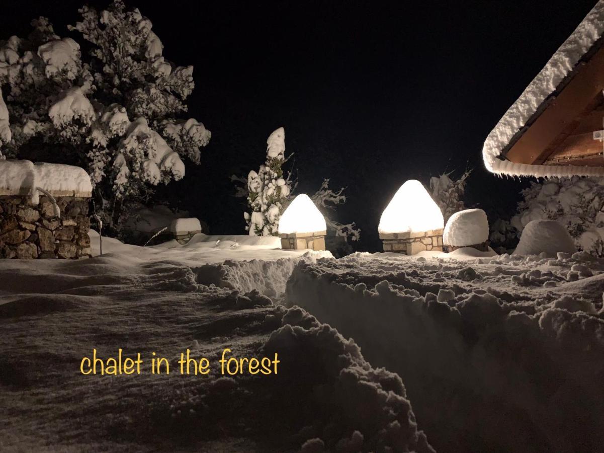 Chalet In The Forest Калаврита Экстерьер фото
