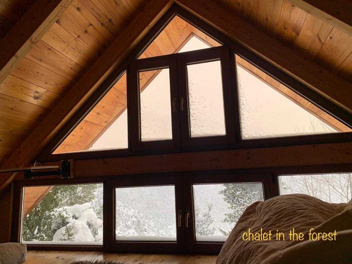 Chalet In The Forest Калаврита Экстерьер фото