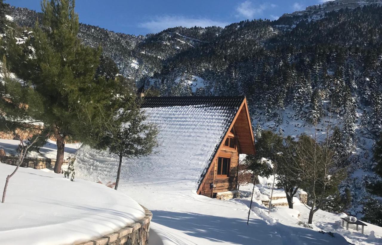 Chalet In The Forest Калаврита Экстерьер фото